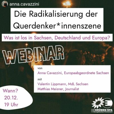 Webinar: Radikalisierung der Querdenker*innenszene mit Anna Cavazzini & Valentin Lippmann